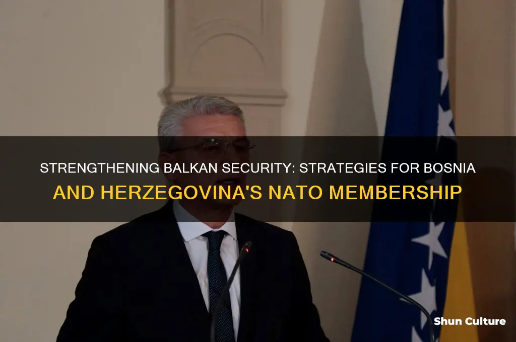 how to get bosnia and herzegovina to join nato