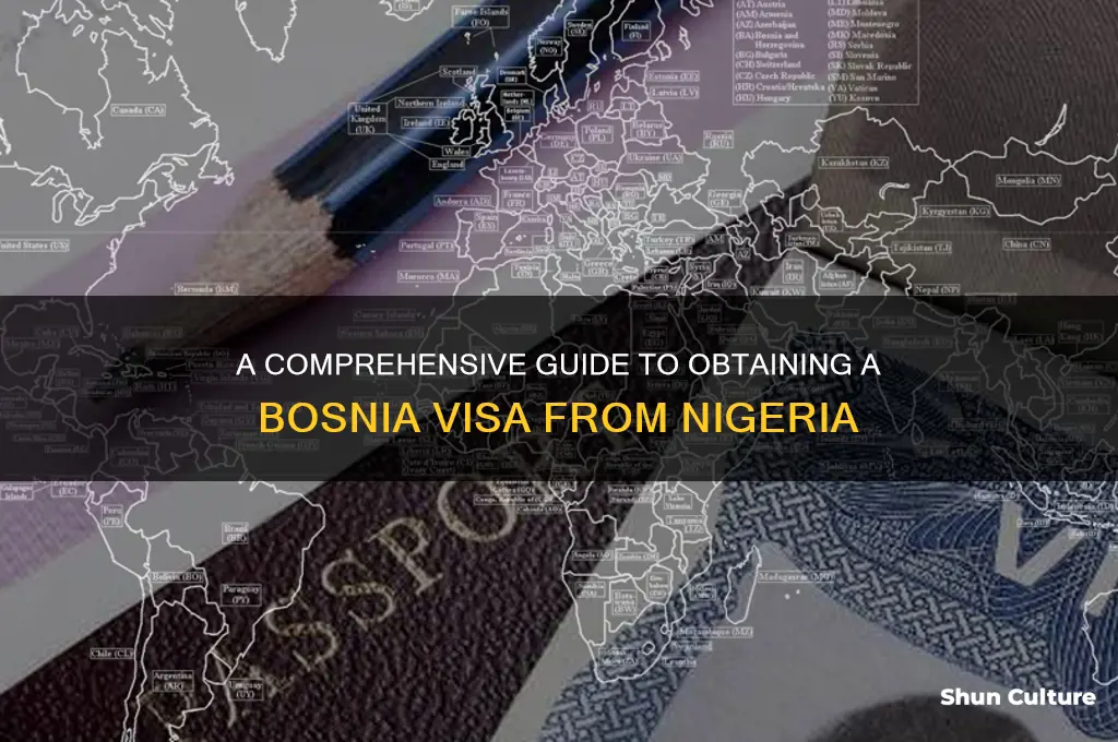how to get bosnia visa from nigeria