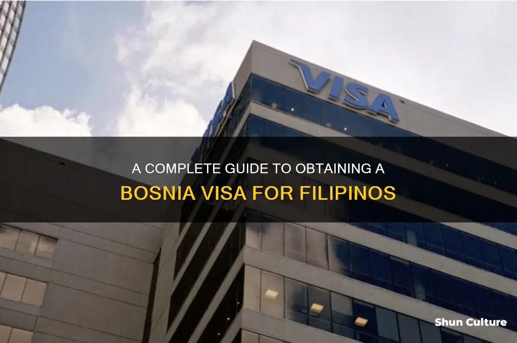 how to get bosnia visa from philippines