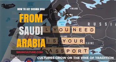 Step-by-Step Guide: Obtaining a Bosnia Visa from Saudi Arabia
