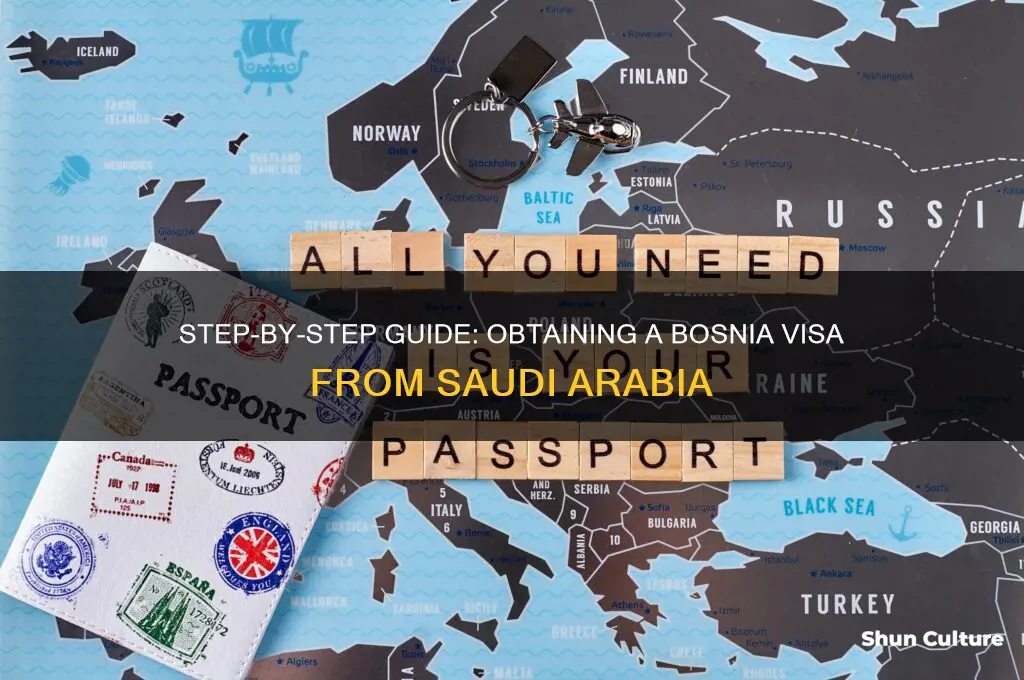 how to get bosnia visa from saudi arabia