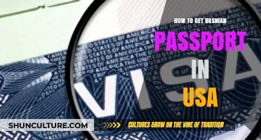 Obtaining a Bosnian Passport in the USA: A Comprehensive Guide