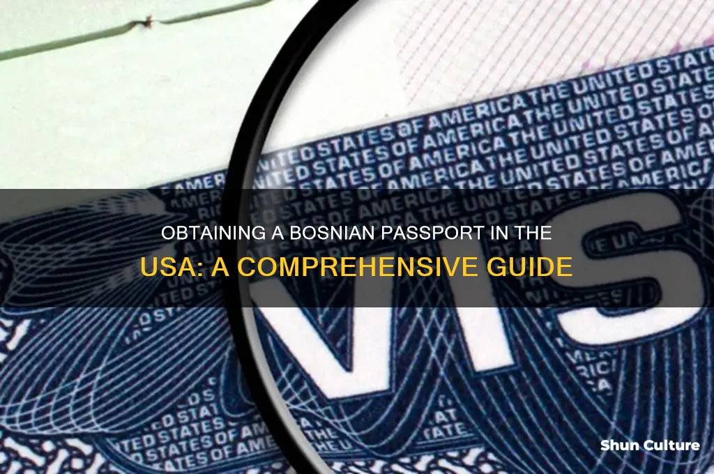 how to get bosnian passport in usa