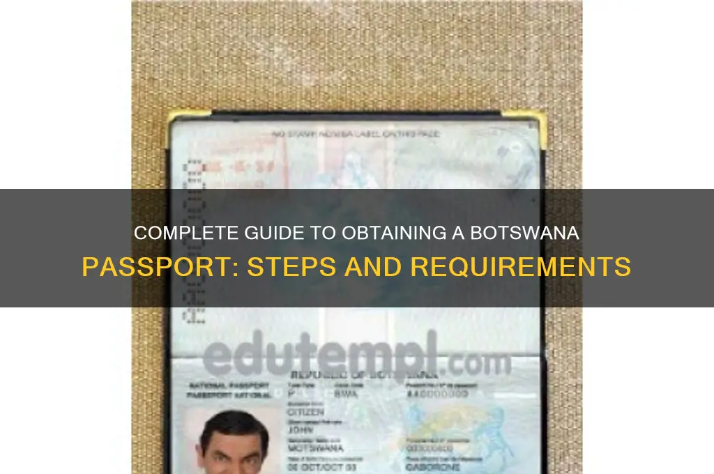 how to get botswana passport