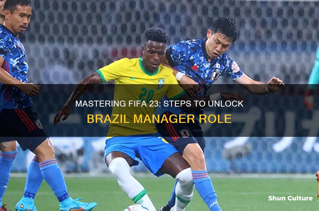 how to get brazil manager fifa 23