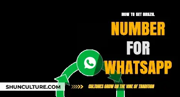 Get a Brazilian WhatsApp Number Easily: Step-by-Step Guide