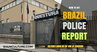 Obtaining a Brazil Police Report: A Step-by-Step Guide for Expats