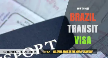 Your Essential Guide to Obtaining a Brazil Transit Visa Easily