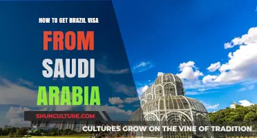 Brazil Visa from Saudi Arabia: A Step-by-Step Application Guide
