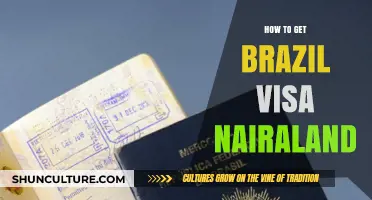 Step-by-Step Guide to Obtaining a Brazil Visa on Nairaland