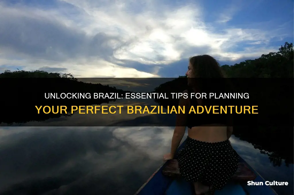 how to get brazil