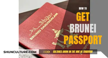 Obtaining a Brunei Passport: A Comprehensive Guide