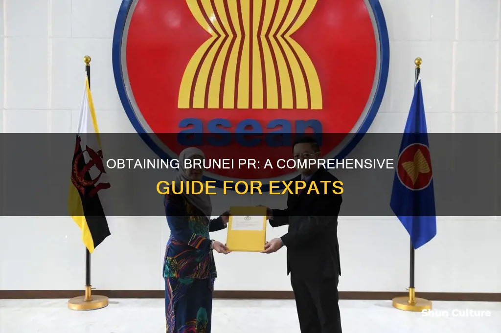 how to get brunei pr