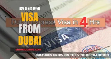 Dubai to Brunei: Visa Application Simplified