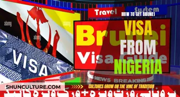 Nigerians' Guide to Obtaining a Brunei Visa