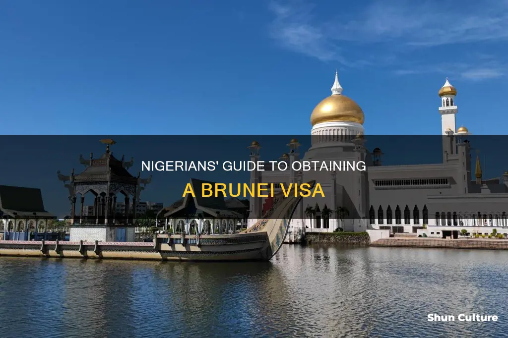 how to get brunei visa from nigeria