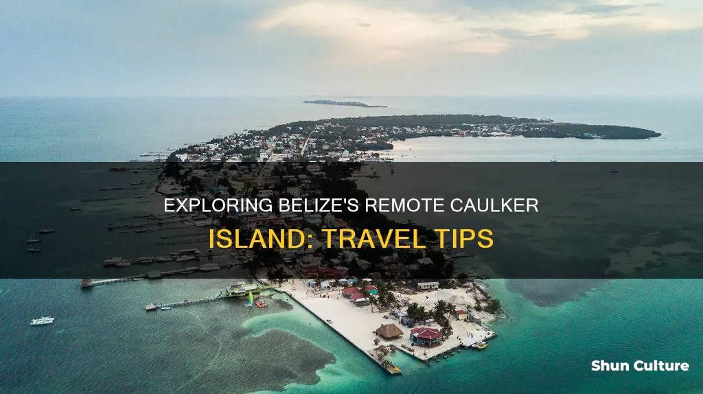 how to get caulker island in belize