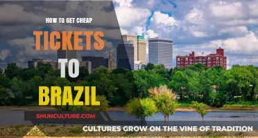 Smart Tips for Scoring Affordable Flights to Brazil Easily