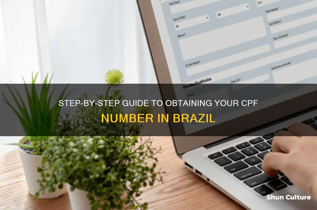 how to get cpf number in brazil