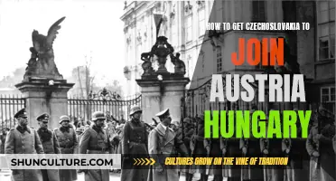 Uniting Nations: Strategies for Czechoslovakia's Alliance with Austria-Hungary