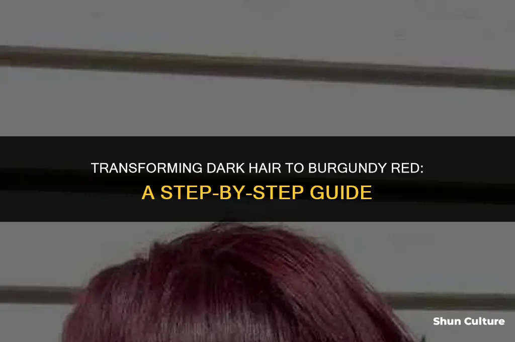 how to get dark hair to burundy red