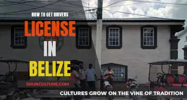 Belize Driving License: Application, Requirements, and More