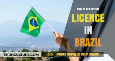 Step-by-Step Guide to Obtaining Your Brazilian Driving License
