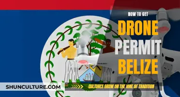 Drone Pilots: Get Your Belize Permit Now