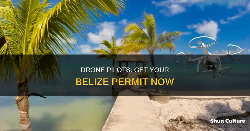 how to get drone permit belize