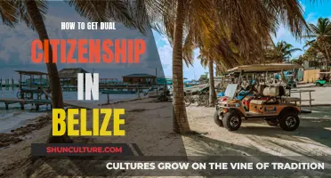 Belize's Dual Citizenship: Requirements and Benefits