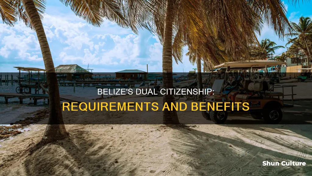 how to get dual citizenship in belize