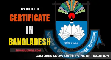 Step-by-Step Guide to Obtaining Your E-TIN Certificate in Bangladesh