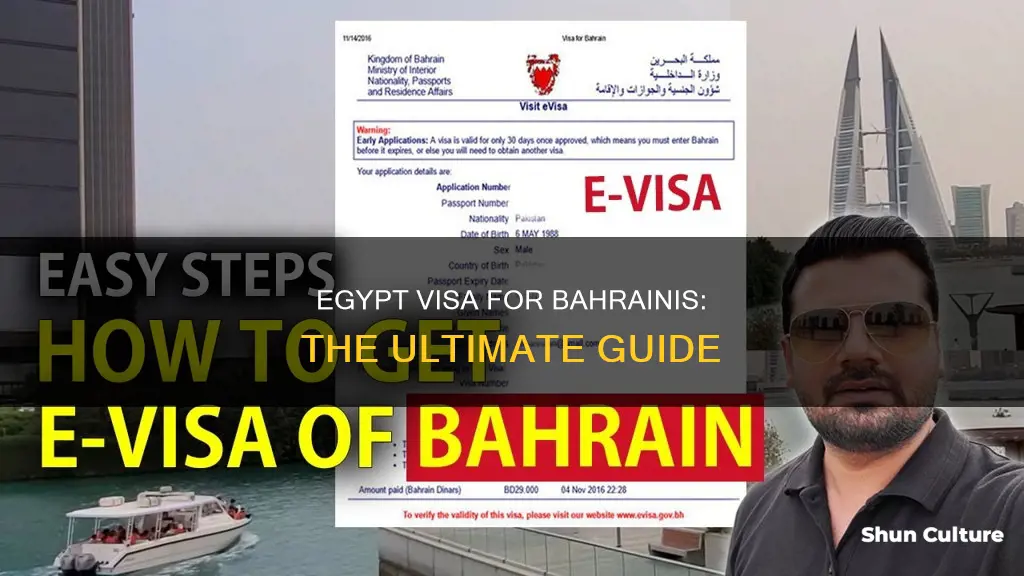 how to get egypt visa from bahrain