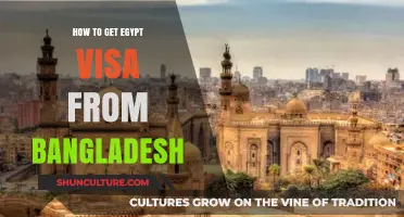 Egypt Visa for Bangladeshis: A Comprehensive Guide to Application Process