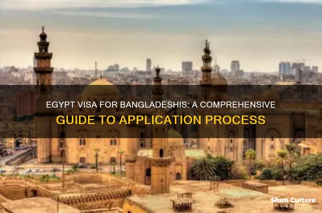 how to get egypt visa from bangladesh