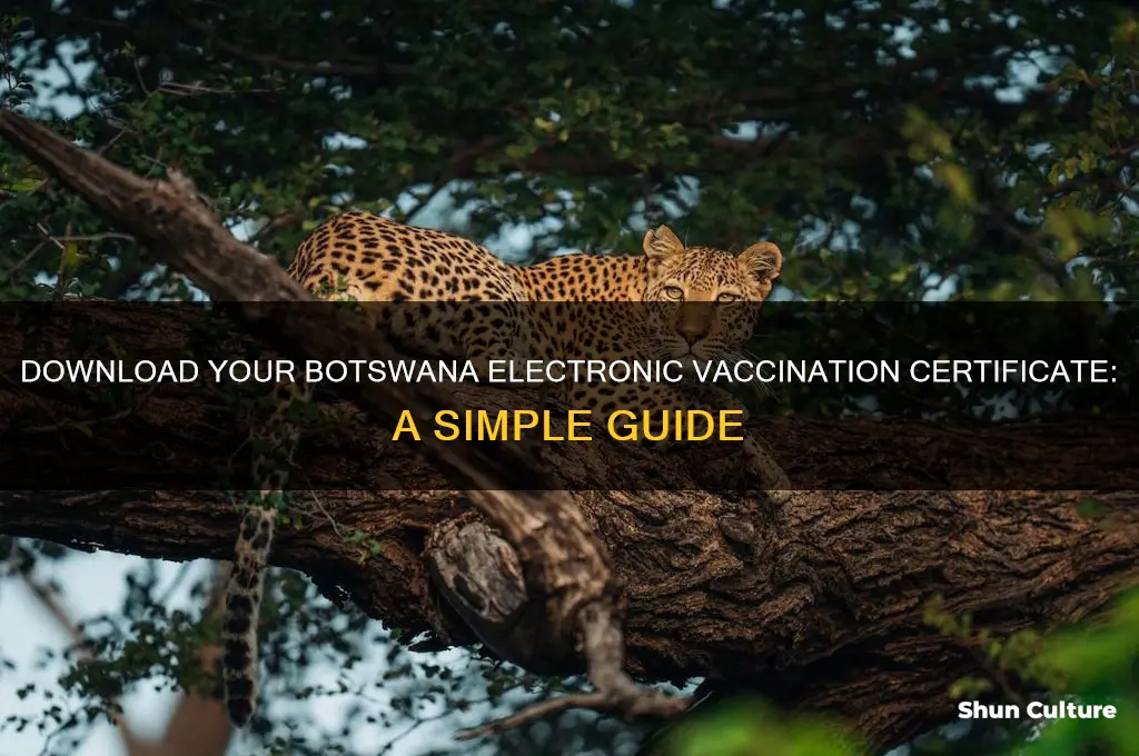how to get electronic vaccination certificate botswana