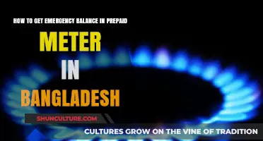Quick Guide: Accessing Emergency Balance on Prepaid Meters in Bangladesh