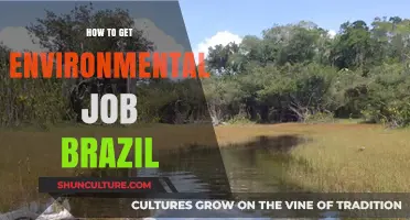 Unlocking Green Careers: Your Guide to Environmental Jobs in Brazil