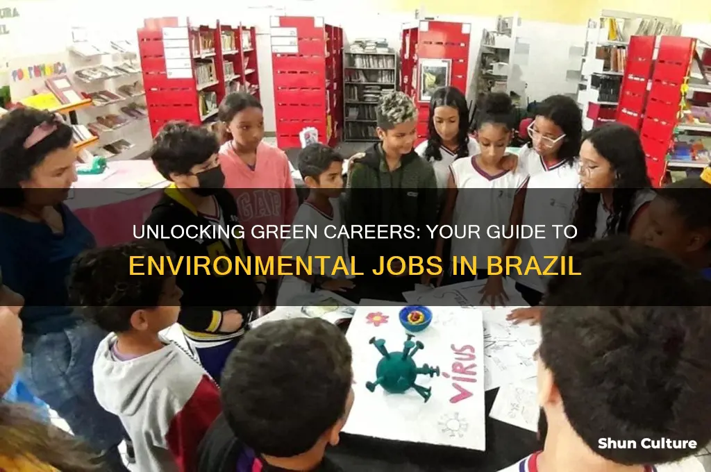 how to get environmental job brazil