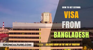 Estonia Visa Application Guide for Bangladeshi Citizens: Step-by-Step Process