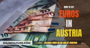 Euros in Austria: Tips for Getting Your Hands on Cash