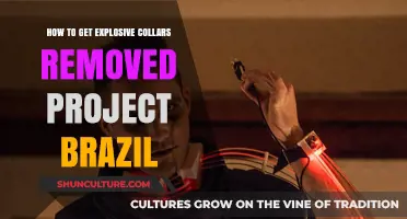 Removing Explosive Collars in Brazil: A Step-by-Step Project Guide