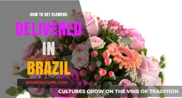 Effortless Flower Delivery in Brazil: Tips and Top Services