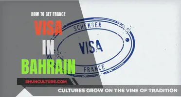 France Visa in Bahrain: A Comprehensive Guide