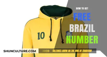 Get a Free Brazil Number: Easy Steps for Instant Access