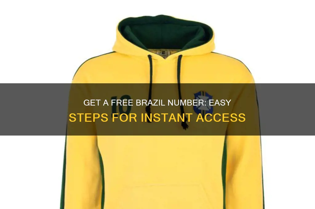 how to get free brazil number