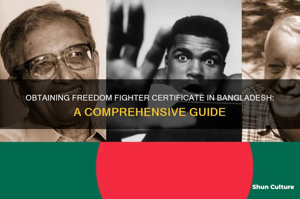 how to get freedom fighter certificate in bangladesh