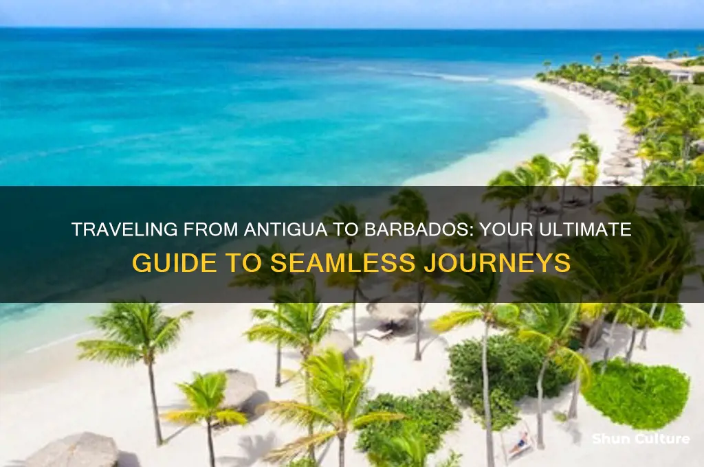 how to get from antigua to barbados