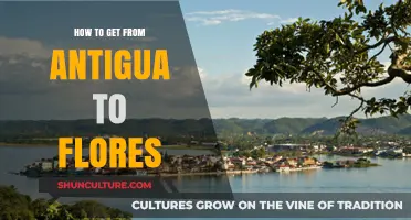 Travel Guide: Antigua to Flores, Guatemala – Best Routes & Tips