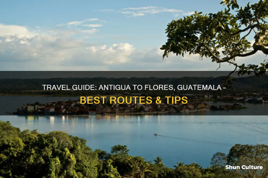 how to get from antigua to flores